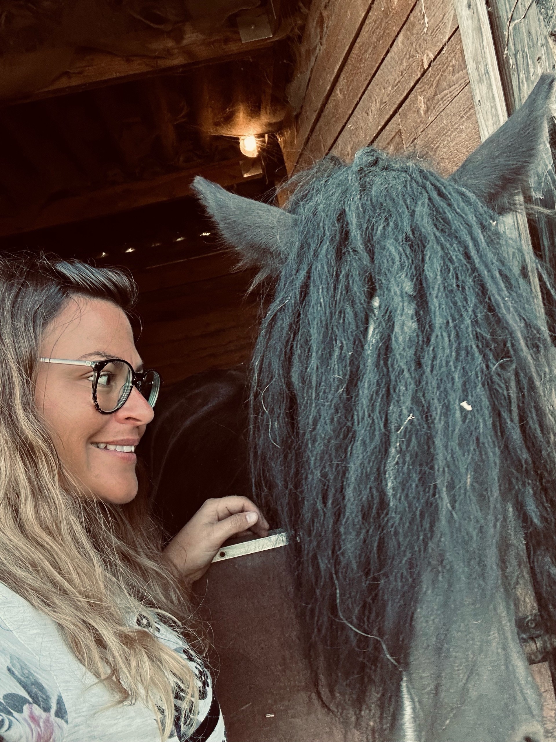 Séance kinésiologie animale : Manon Gois Kinésiologue certifiée, praticienne Reiki & Coach de vie certifiée, en Brabant wallon, à Incourt et Dongelberg