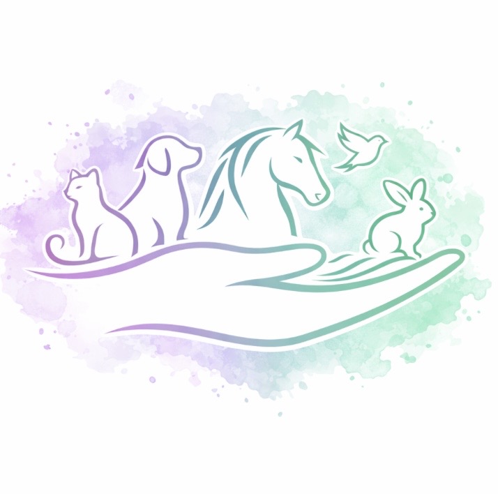 Manon Gois Kinésiologue certifiée, praticienne Reiki & Coach de vie certifiée, en Brabant wallon, à Incourt et Dongelberg