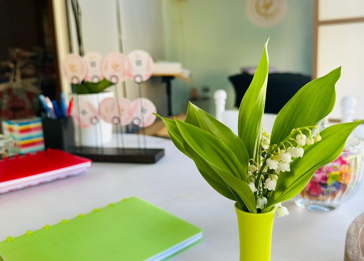 Cabinet Manon Gois Kinésiologie, Reiki, coaching de vie Manon Gois (Brabant wallon, Jodoigne, Dongelberg, Incourt, Wavre, Louvain-la-neuve)